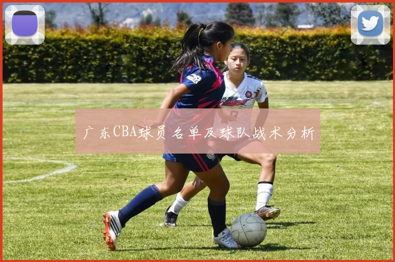 广东CBA球员名单及球队战术分析