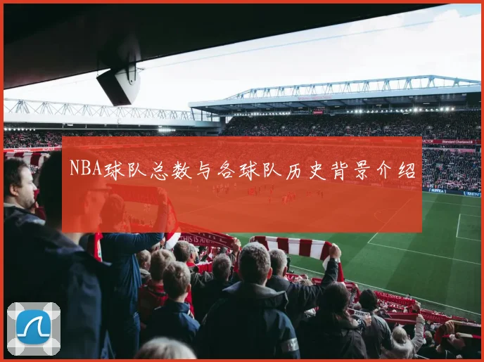 NBA球队总数与各球队历史背景介绍