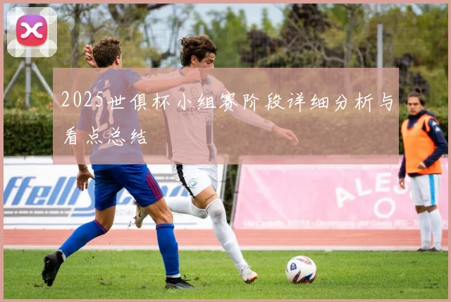 2025世俱杯小组赛阶段详细分析与看点总结