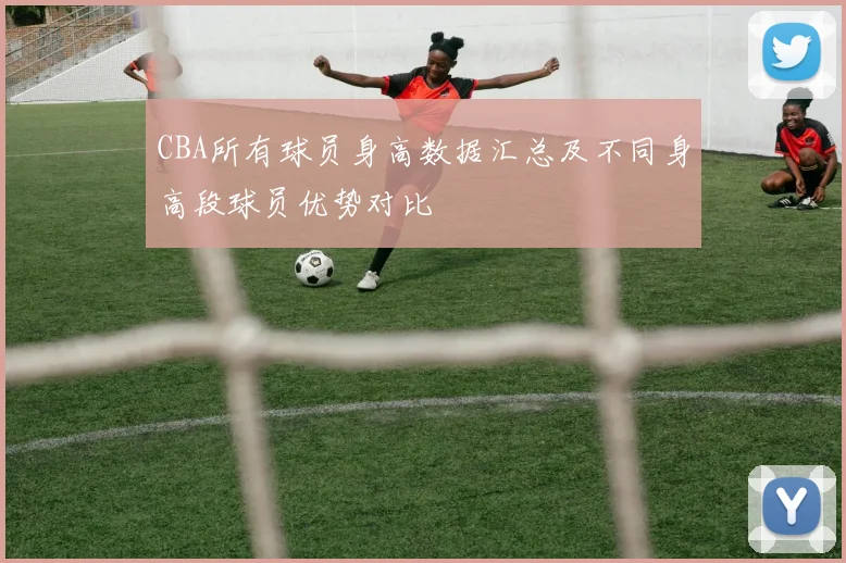 CBA所有球员身高数据汇总及不同身高段球员优势对比